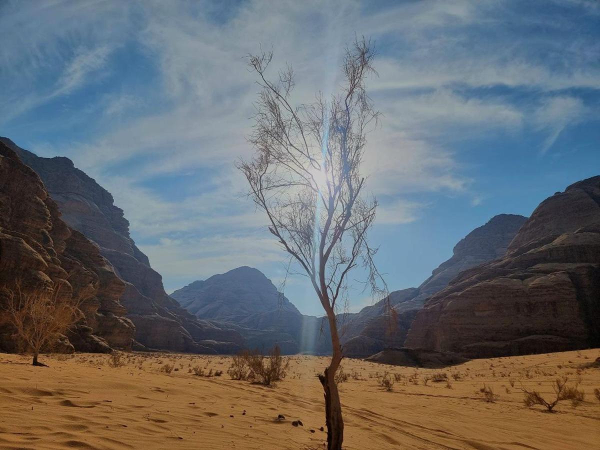 Wadi Rum Oscar Camp 外观 照片